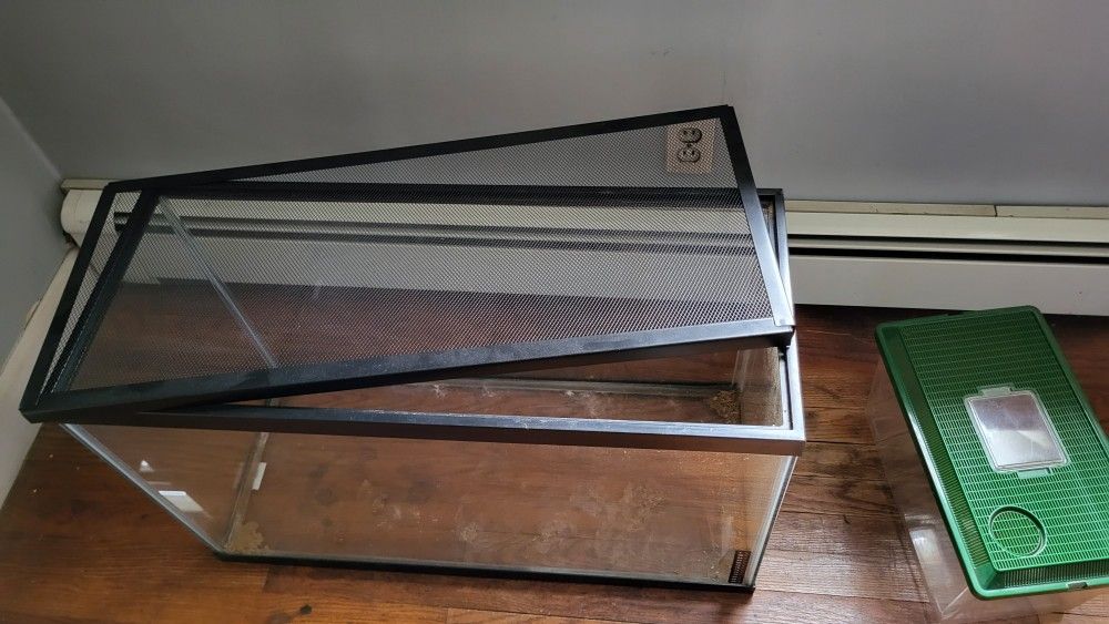Critter cage, glass, with screen cover