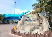sea world tickets 4