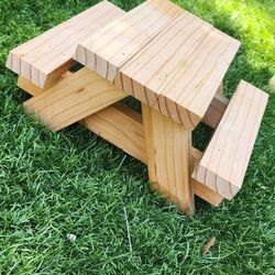 Squirrel Picnic Table Feeder 