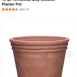 Plant And Flower Pots