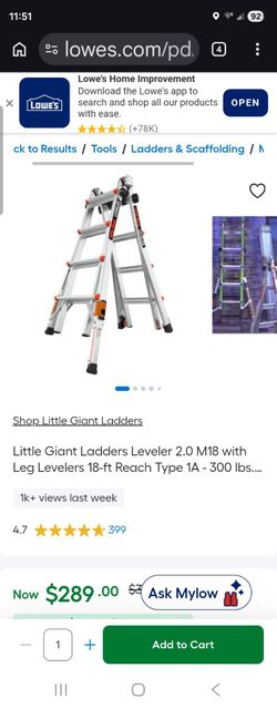 Little giant ladder