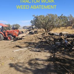 Tractor and Firewood for sale