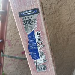 6ft Werner ladder