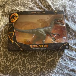 Amber Collection Velociraptor Blue