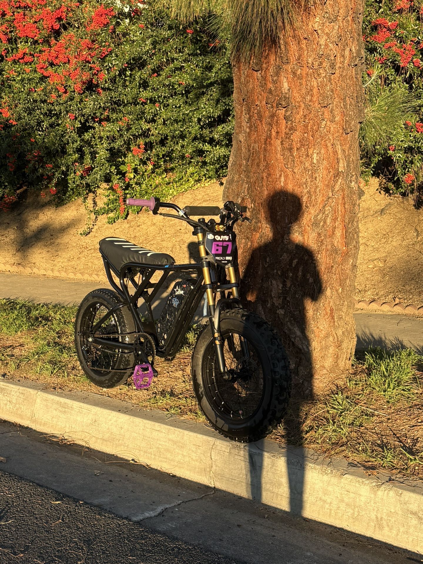 Modded Ridstar Need Gone Asap!