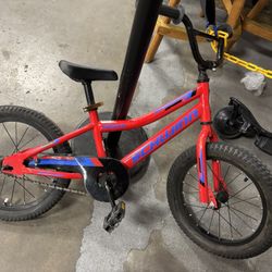 Schwinn 
