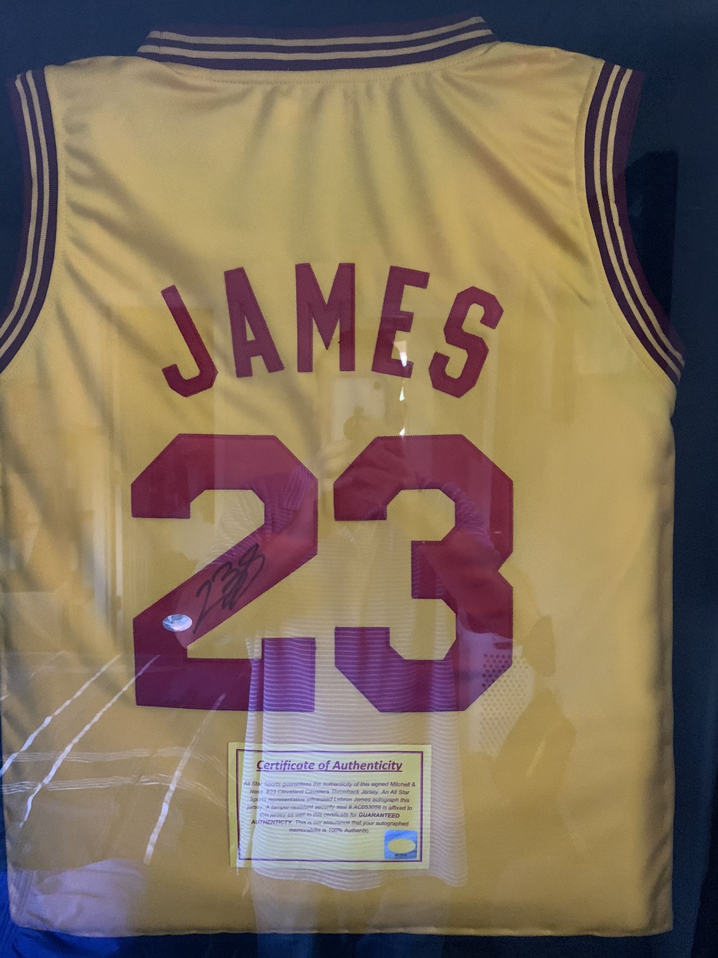 james autographed jersey