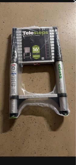 Telesteps 16’ Ladder