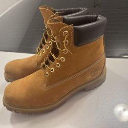 Men's Timberland Premium 6-Inch Waterproof Boot