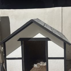 Dog House 