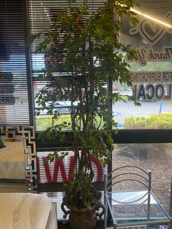 7’ Artificial Ficus Tree in Decorative Urn Planter $29.99