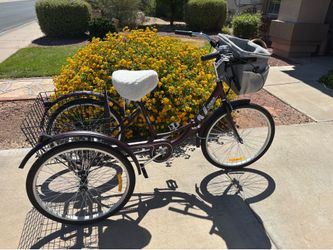 Adult 3 Wheel Bike