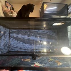 40 Gal Reptile Enclosure 