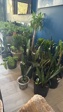 Garage Sale