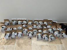 Recessed Lighting - lithonia lighting