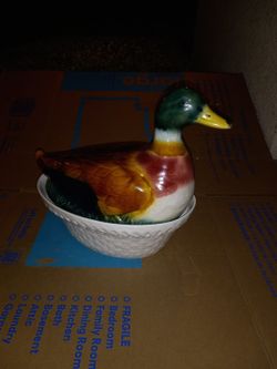 Duck In Your Kitchen