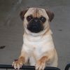 Zeek