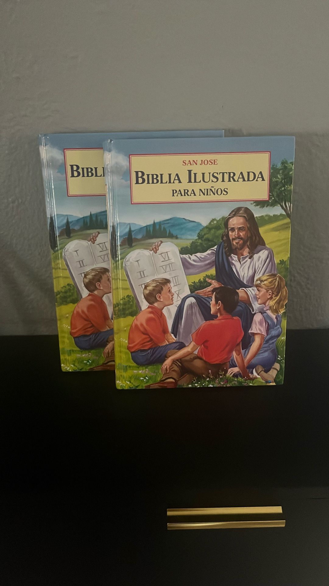 San Biblia Ilustrada Para Niños