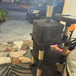 Cat Scratching Post 