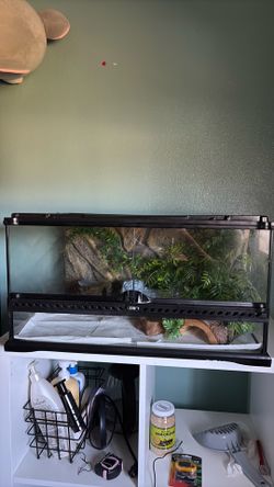 Exo Terra Reptile Tank 24 x 18 x 12 w/ Backdrop