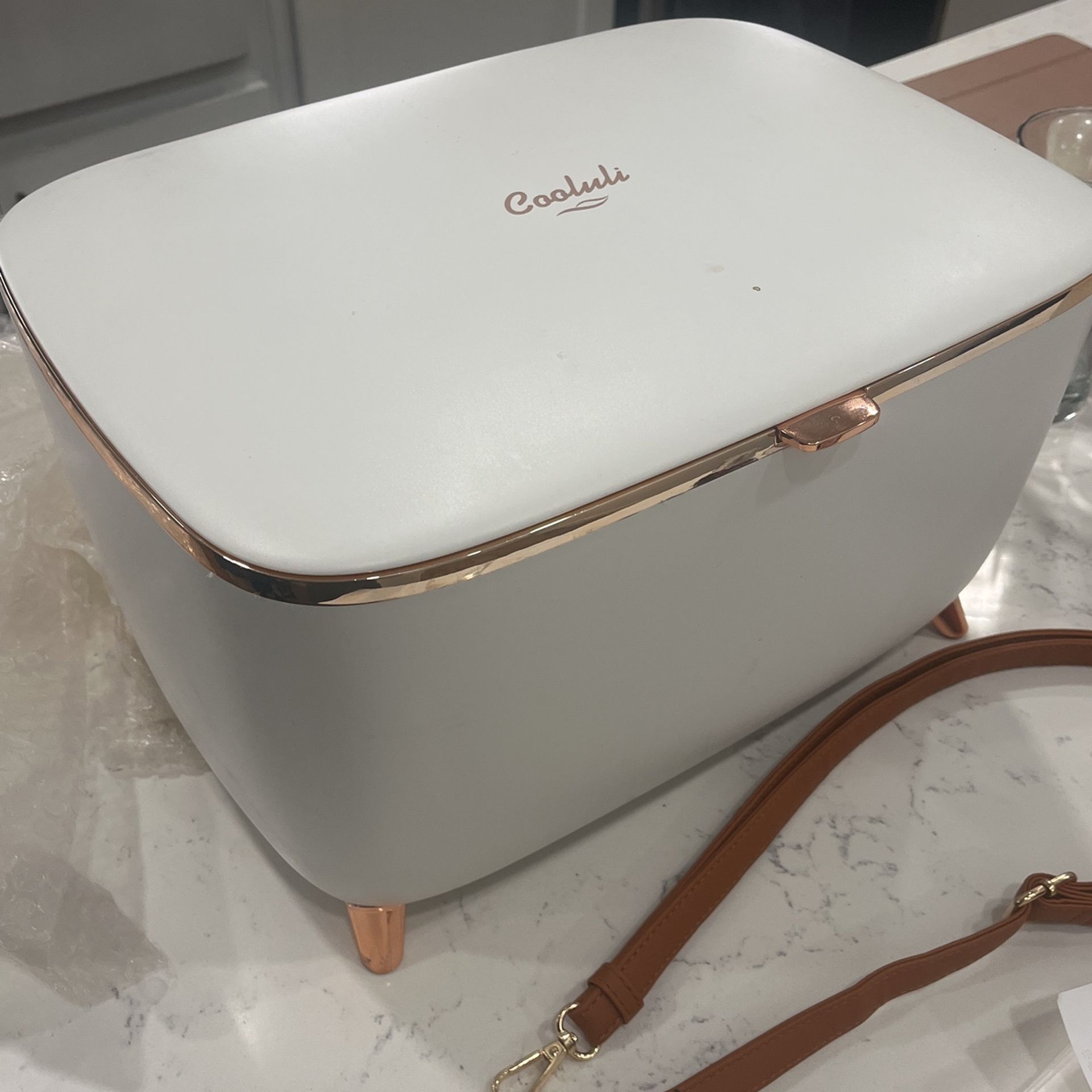 Coolini Mini Fridge For Makeup