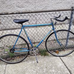 Schwinn Traveler Single Speed Road Bike w Freewheel/ bullhorn 