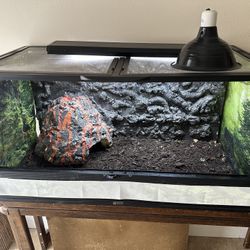 Zoomed Front Opening Terrarium With Custom Background