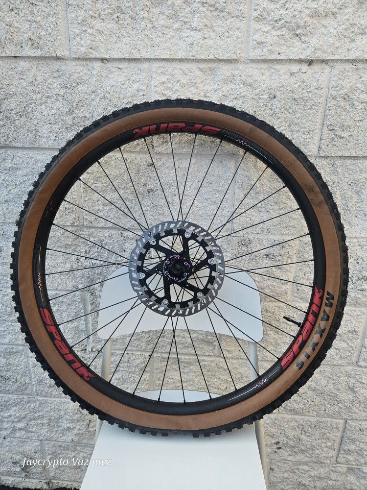 SPANK 350 Vibrocore 29in With Swiss Hub New Brand Tire