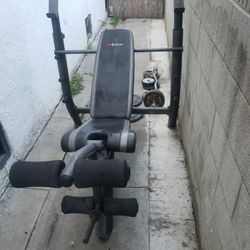 Sa gear weight bench new arrivals