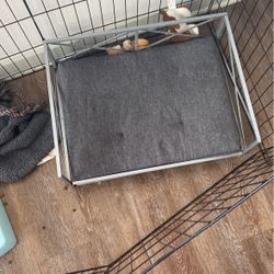 Modern Dog Bed 