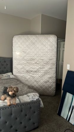 used box spring and queen size bed (pickup only )