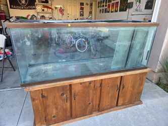 Fish supplies