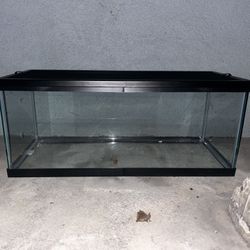 Reptile/ Hamster Tank