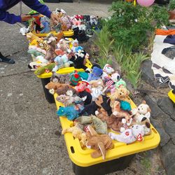 Beanie Babyes 1(contact info removed) 