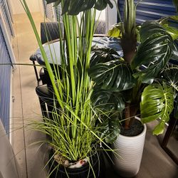 Fake Plants 