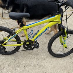 Boys Bike 20” Mountain Bike 