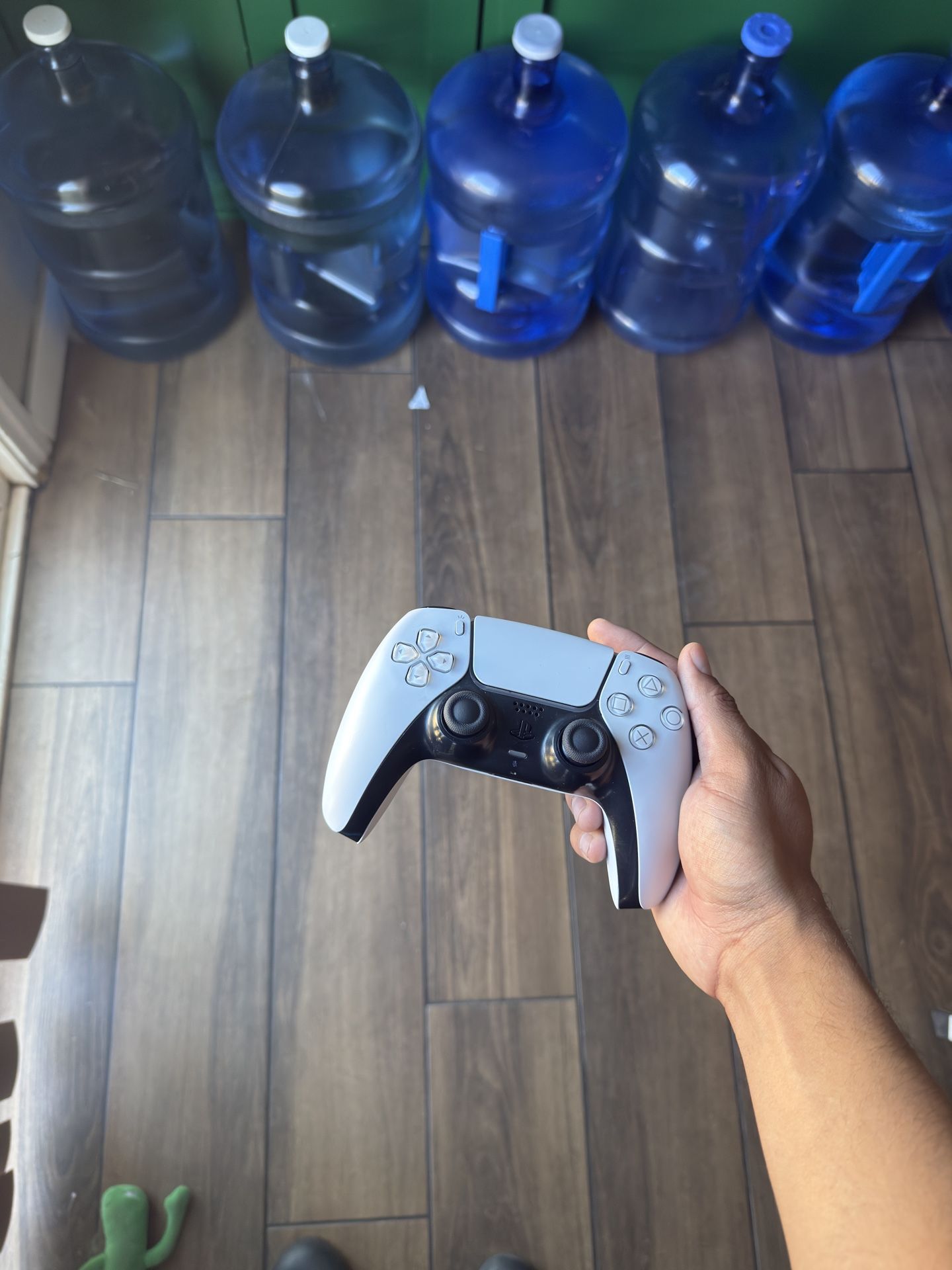 PS5 Controller