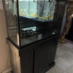 Aquarium With Stand 35 Gallon Fish Tank