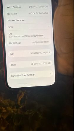 iPhone 13 unlocked