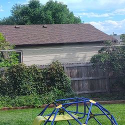Jungle Gym