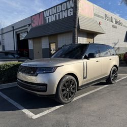 Tint For Sale 