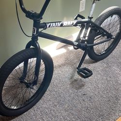 2022 Kink Curb Bmx