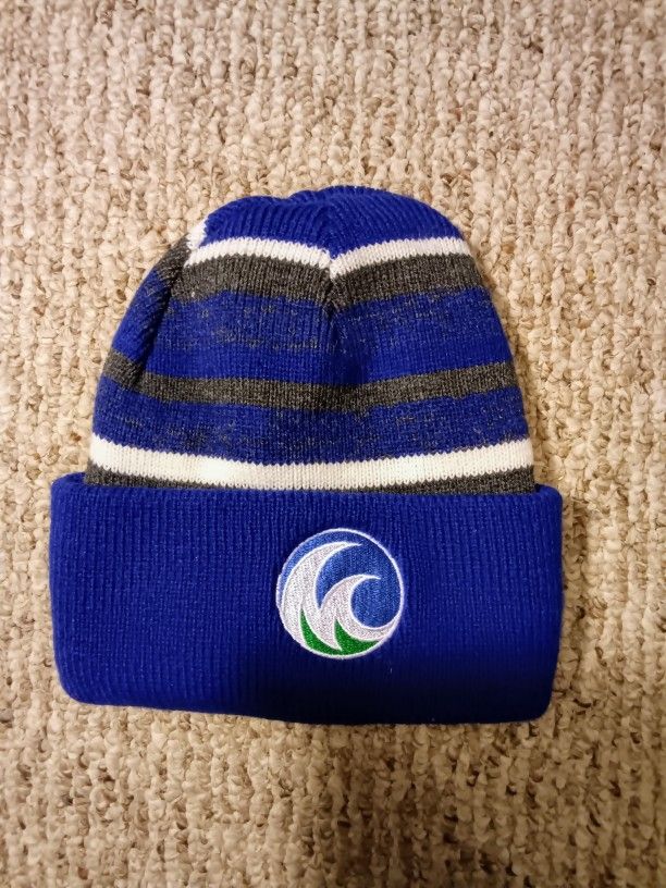 Minnesota State Community and Technical College Winter Cap