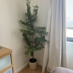 Fake Plant / Tree 