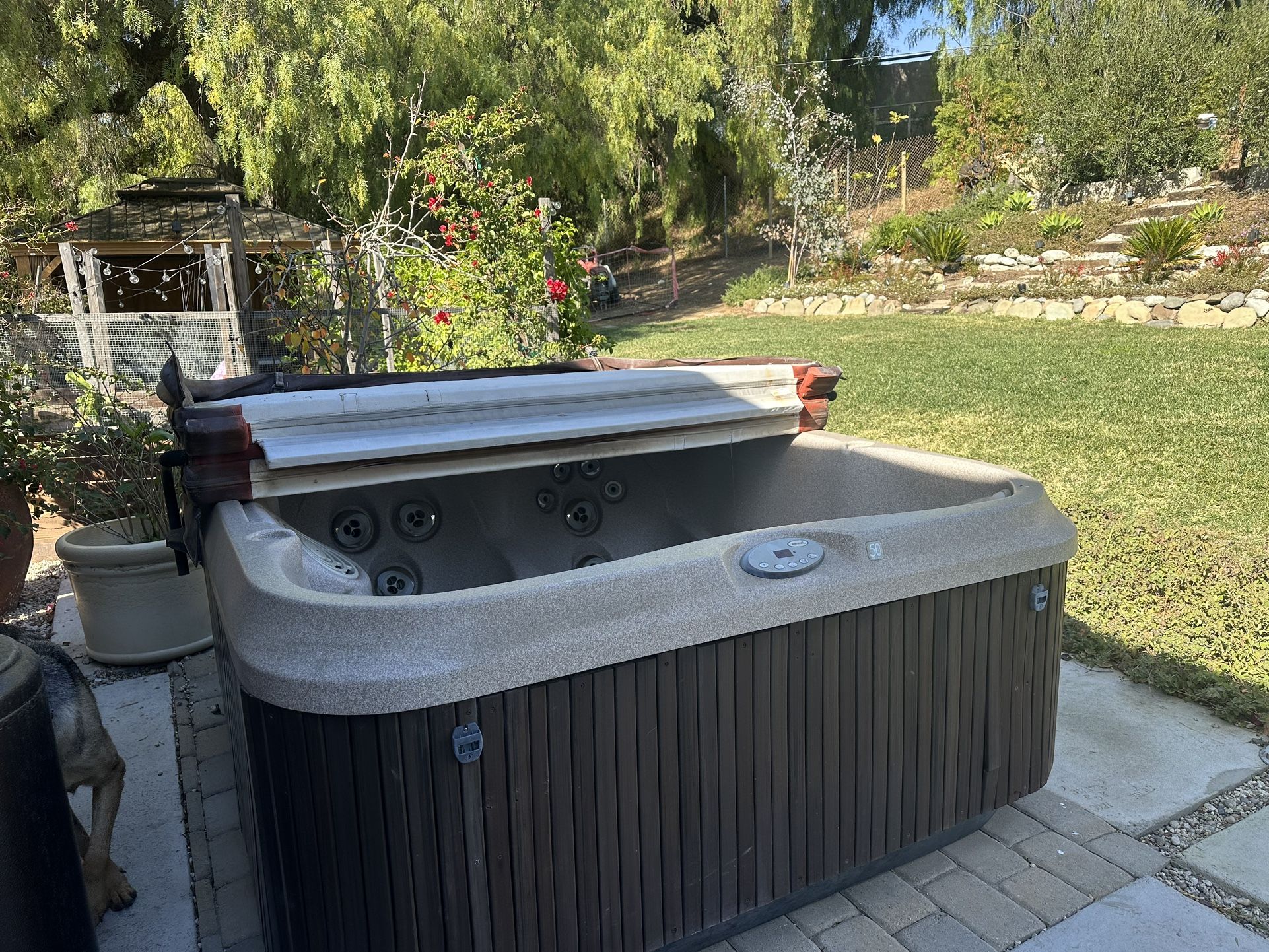 Above Ground Spa Jacuzzi