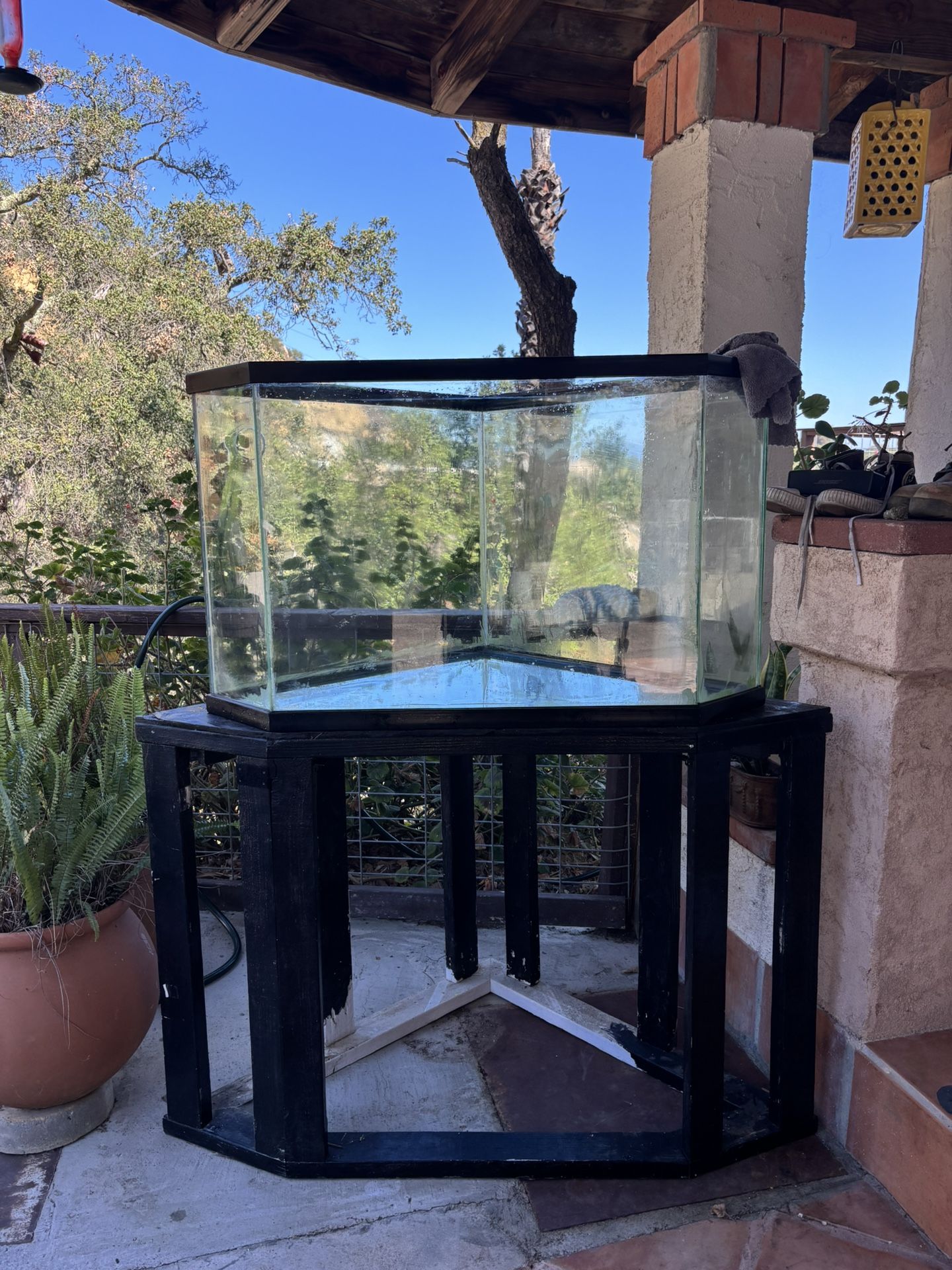 65 Gallon Fish Tank