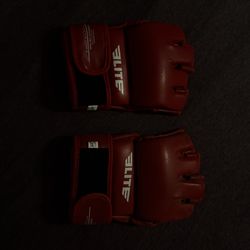 MMA Gloves