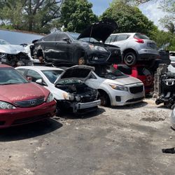 All Auto Parts, Todo Tipo De Partes 