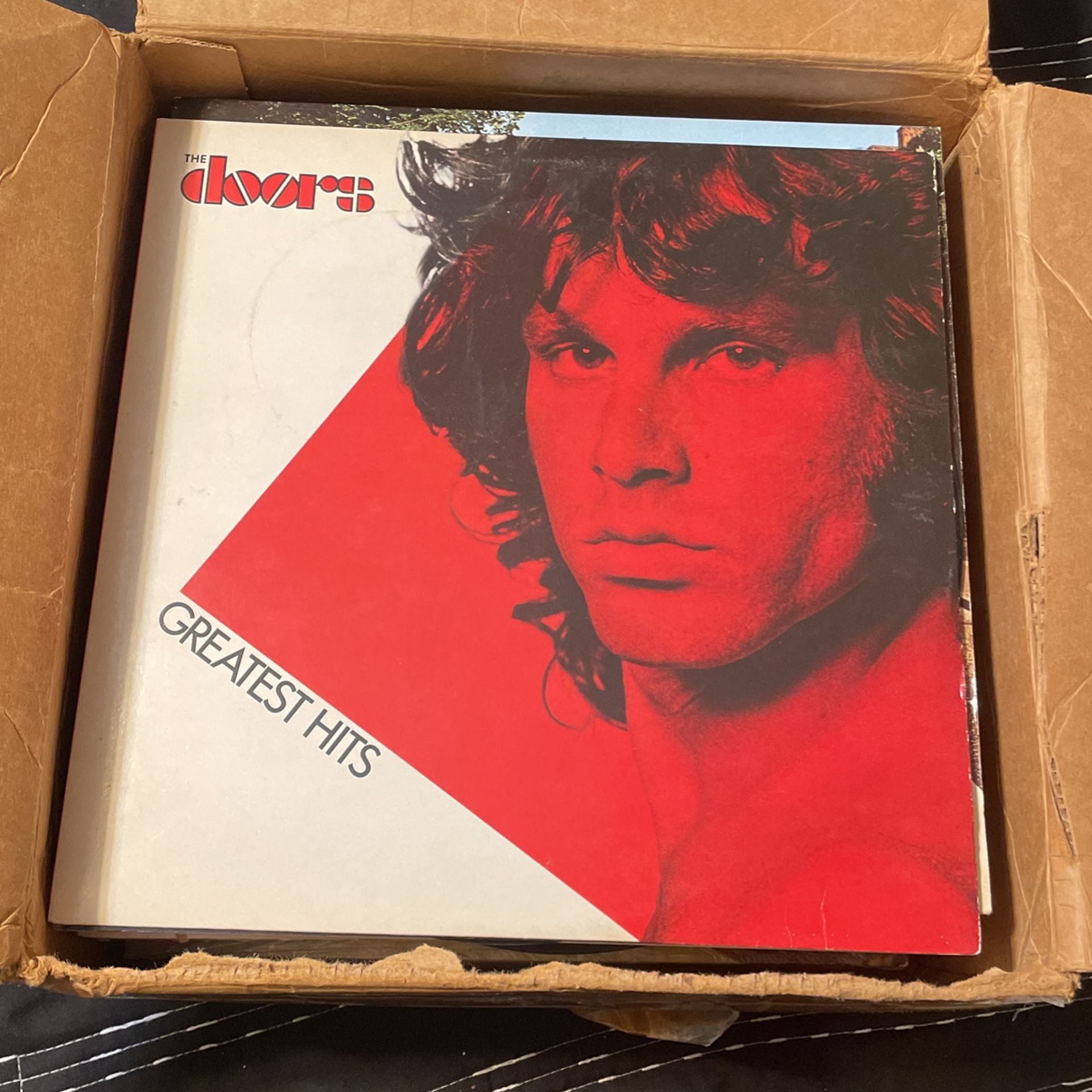 The Doors Vintage Vinyl