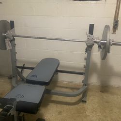 45 Pounds Each Side With Bench Press Included 